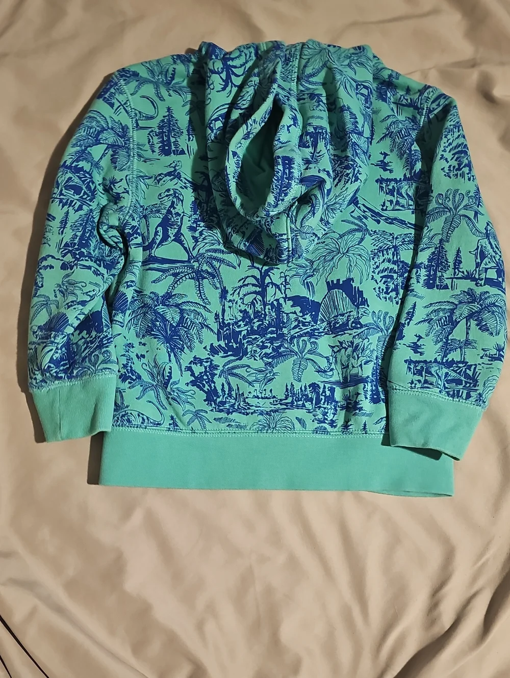 GAP Teal & Blue Zip-Up Hoodie Size 4T Great Condition